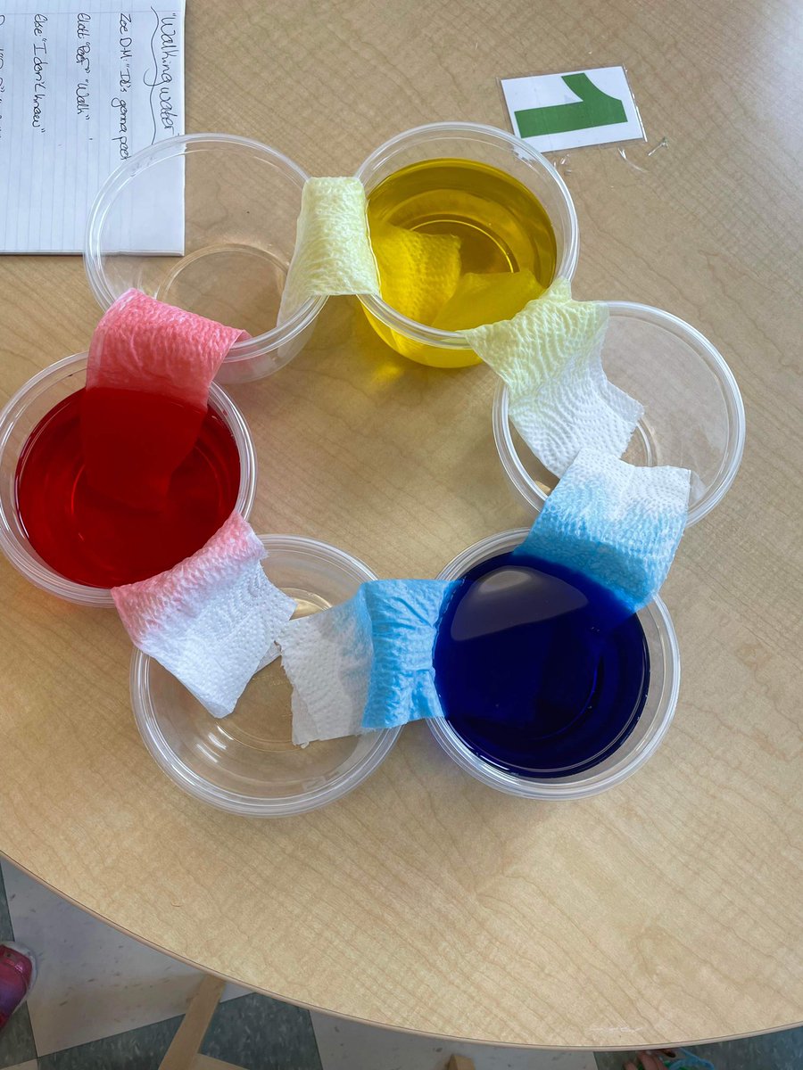 MissVictoria tweet media