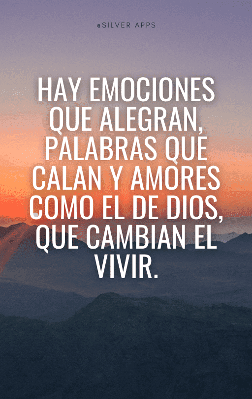 Siddonid Bardellini (@siddonid_bardel) on Twitter photo 