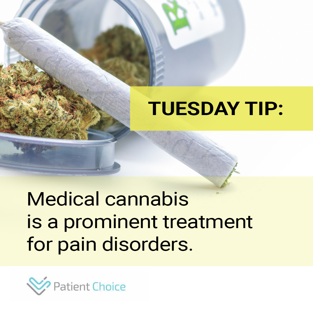 PatientChoice1's tweet photo. Tuesday Tip: A major advantage is that cannabis is a lot safer than opiates in that cannabis is not addictive like opiates. It cannot be overdosed in the way opiates can, and cannabis is not as highly sedative as opiates. #patientchoice #tuesdaytip #medicalcannabis #cannabis https://t.co/pbluZLaGiL
