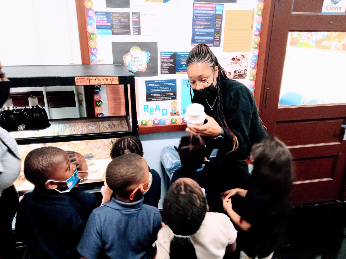CPSNetwork11's tweet photo. Principal Ruff's energy for educating scholars is unmatched! Daily, she ensures that scholars receive a high quality education. Ms. Ruff also has the extraordinary ability to make everyone around her feel special. She is a phenomenal leader! #PrincipalPrideChi https://t.co/lpYa9ZGAMz