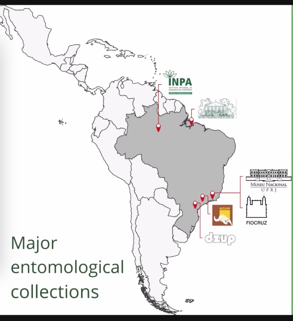 EntCollNet's tweet photo. Now let's go to #SouthAmerica to Universidade Federal do Paraná with John Lattke, Rodrigo Feitosa (@rsmfeitosa), and Renato Machado #VirtualCollectionTour #ECN2021 #Brazil 🇧🇷 https://t.co/SFAUtQ4T2Q