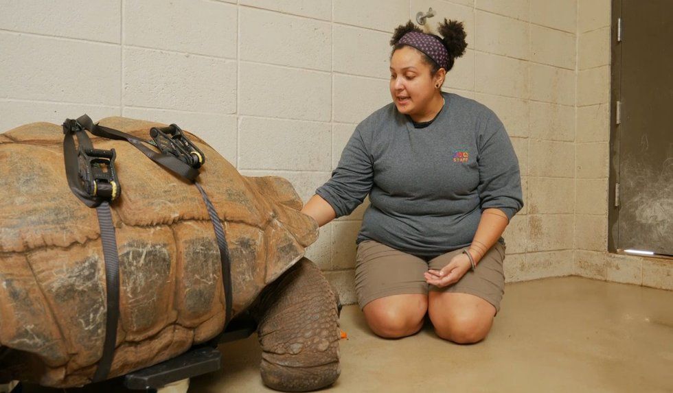 Nice new set of wheels, Bubba!
buff.ly/3BcUxeJ