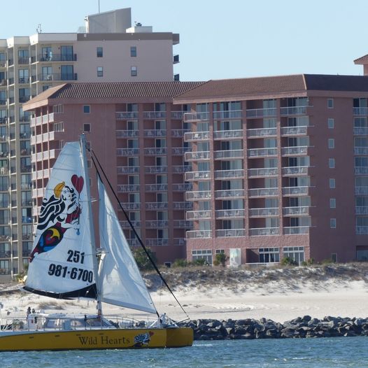 Set sail! ⛵ RT <a href="/SailWildHearts/">Sail Wild Hearts</a>: An excursion aboard Wild Hearts is ideal for corporate event entertainment and teambuilding. It’s also a unique way to celebrate weddings, anniversaries, birthdays and other special occasions
sailwildhearts.com