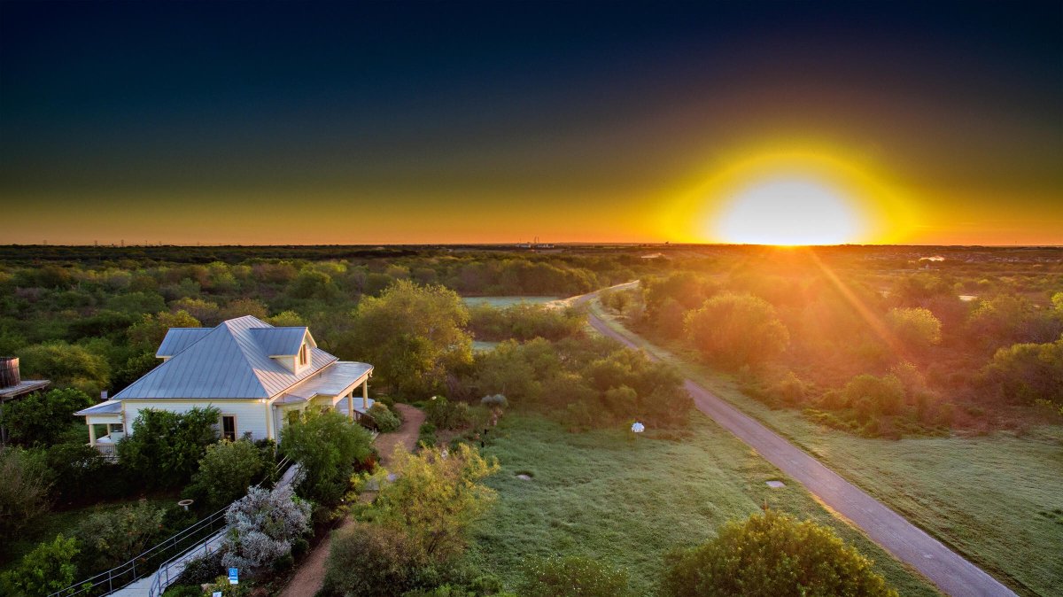 Audubon Texas tweet media