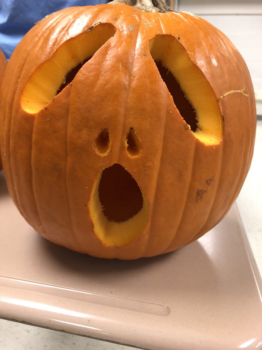 fbla_pc's tweet photo. More pumpkins from today! https://t.co/6tXRlXEGHu