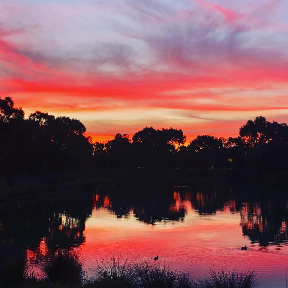 Bureau of Meteorology, Victoria tweet media