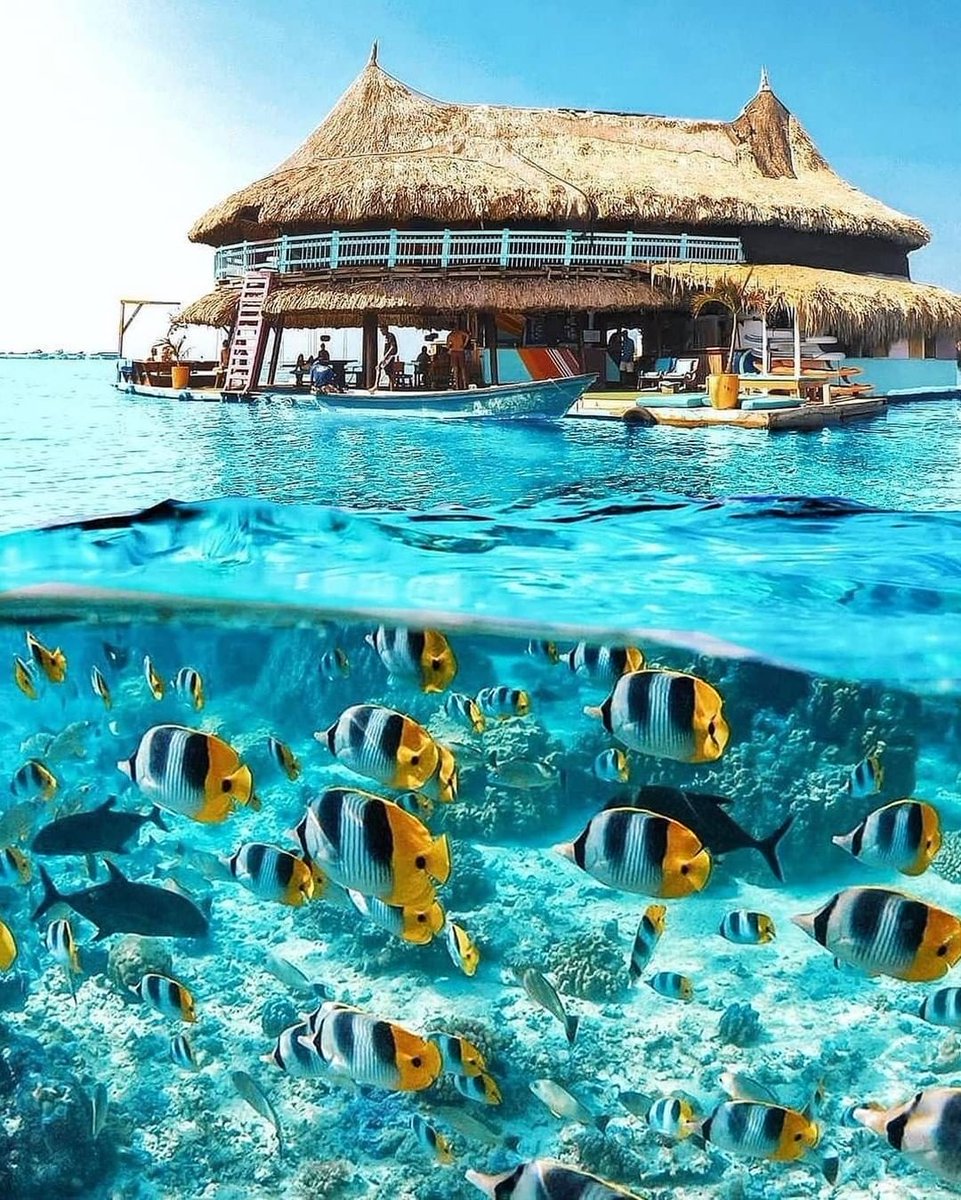 TurismocityBR's tweet photo. #Sextou e qual destino você acha que combina com final de semana?
Eu começo: esse paraíso na Colômbia!
#DicasdeViagens #Viagem #BlogdeViagem #Colômbia https://t.co/w5iE7LnK5c