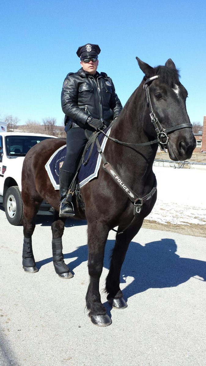 Sad to hear this news. Rest In Peace, Valor. Thank you for your service.