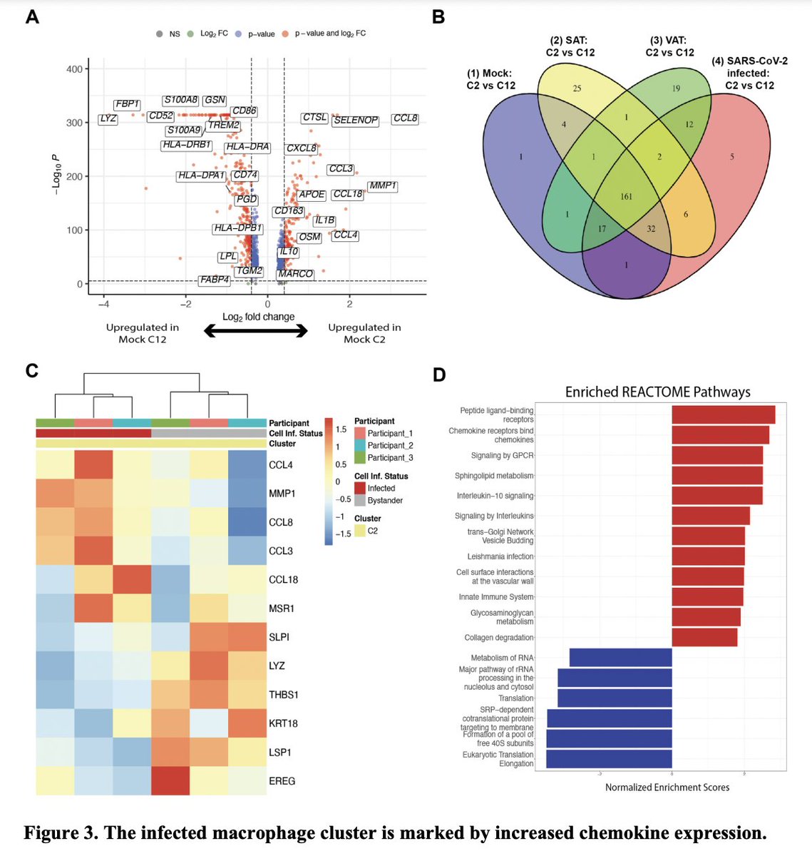 epidatum's tweet photo. #SARSCoV2 infects human adipose tissue and elicits an inflammatory response consistent with severe #COVID19 
"adipose tissue supports SARS-CoV-2 infection and pathogenic inflammation and may explain the link between #obesity and severe COVID-19"
https://t.co/VlRls2iMsk https://t.co/9MLvjWYfUQ