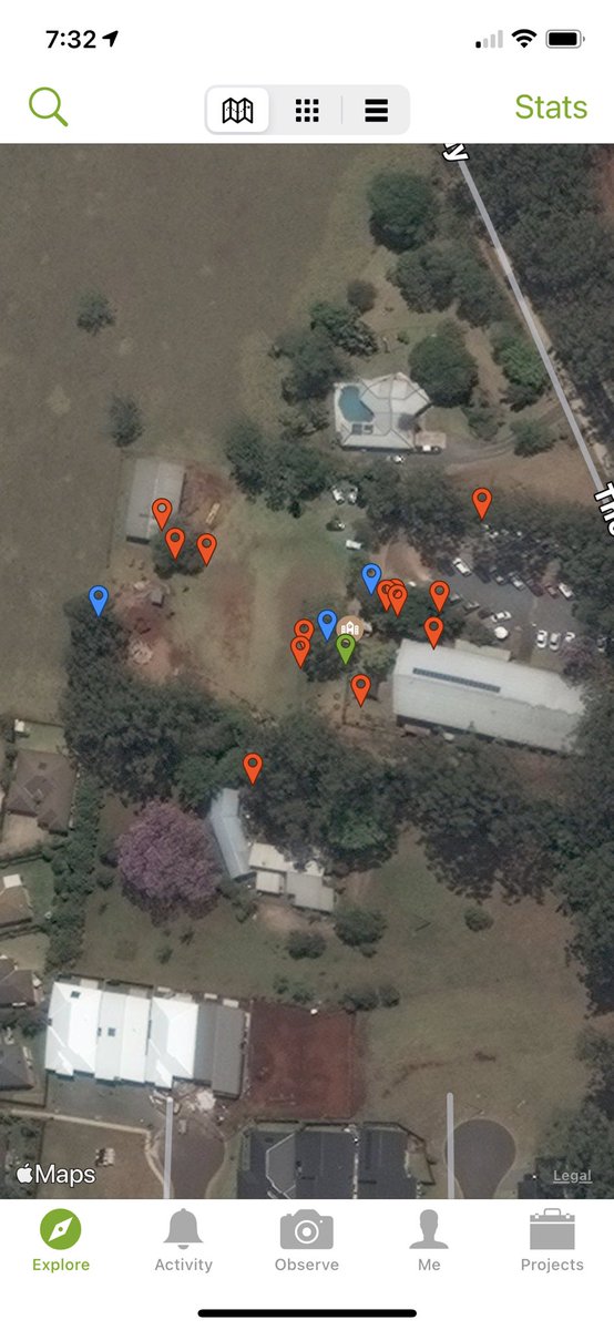 iMerinet's tweet photo. Biodiversity is the school yard with @inaturalist green = 🌱 red = 🐞 and blue = 🦅 #DinSTEM #Data #SinSTEM #STEMnNature https://t.co/gZL0RSv3Eq