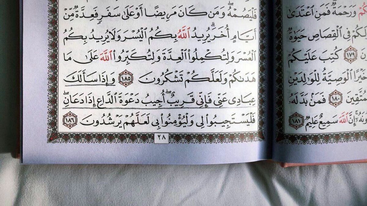 "قد يَهزمك العالم وتُنقذك آيه".💜