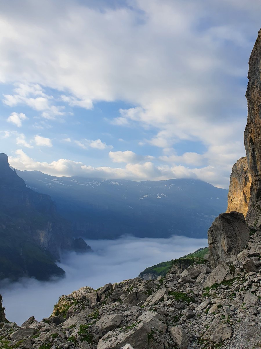 low_prawfile's tweet photo. Vue d'en bas / vue d'en haut https://t.co/zvGEIx7b3C