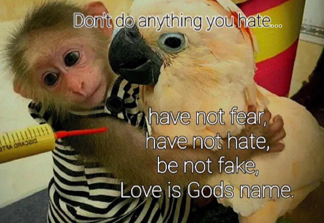 OnHigh19's tweet image. Dont do it if you dont know....