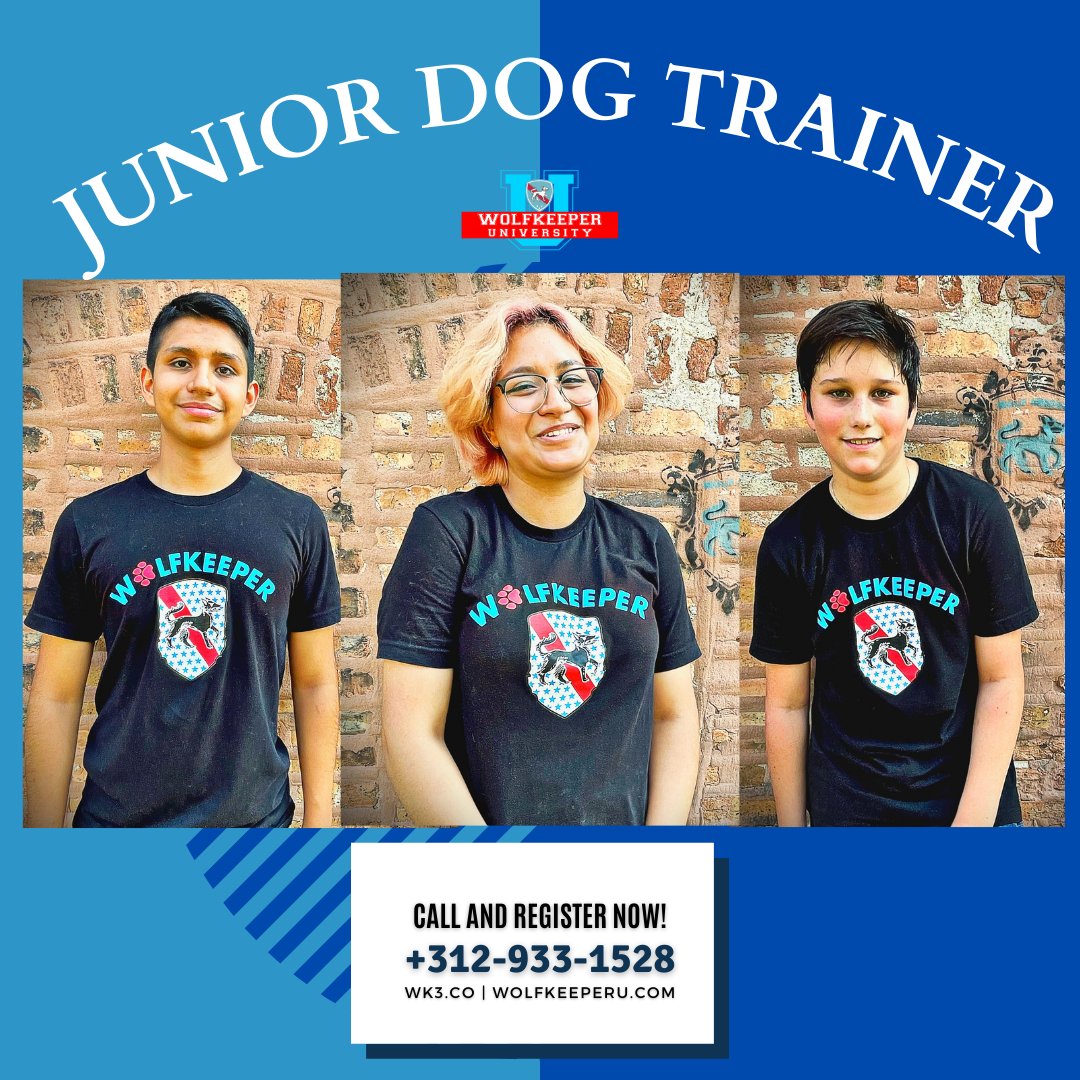 toriano_sanzone's tweet photo. So you want to be a dog trainer? A secret about dog training is that most dog trainers don't train dogs. They train people.
Make a decision today and be a dog trainer
312-933-1528 | https://t.co/biNpakzhfx | https://t.co/VNNdMs2lBg
#dogtraining #dogtrainer #DogBootcamp #dog https://t.co/i4bdJHX4Gj