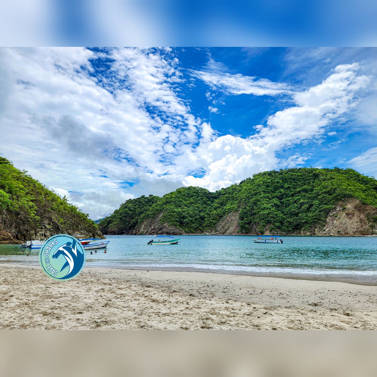 If you or anyone you know is interested in participating in our South Florida journaling event ON a boat followed by some snorkeling - please let us know! 💙
#WritingCommunity | #journaling | #creativewriting | #boating | #SouthFlorida | #Nonprofits