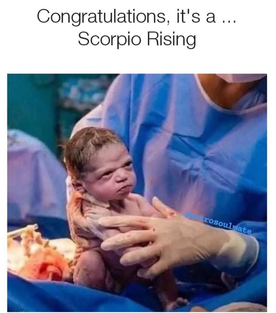 ScorpioSeason's tweet photo. 😂 https://t.co/Xv3g8rthVs