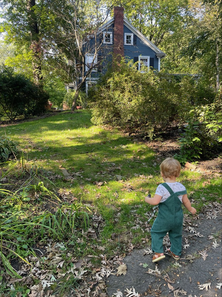 kbpellegrino's tweet image. #kbpellegrino #realkids. Harper escaped mom and dad. Enjoying some alone time