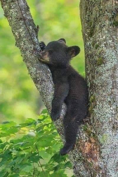 nayef_Al_saif_'s tweet photo. It's been a long day 🥱 Night night 💤💤 https://t.co/ptBiNNTndR