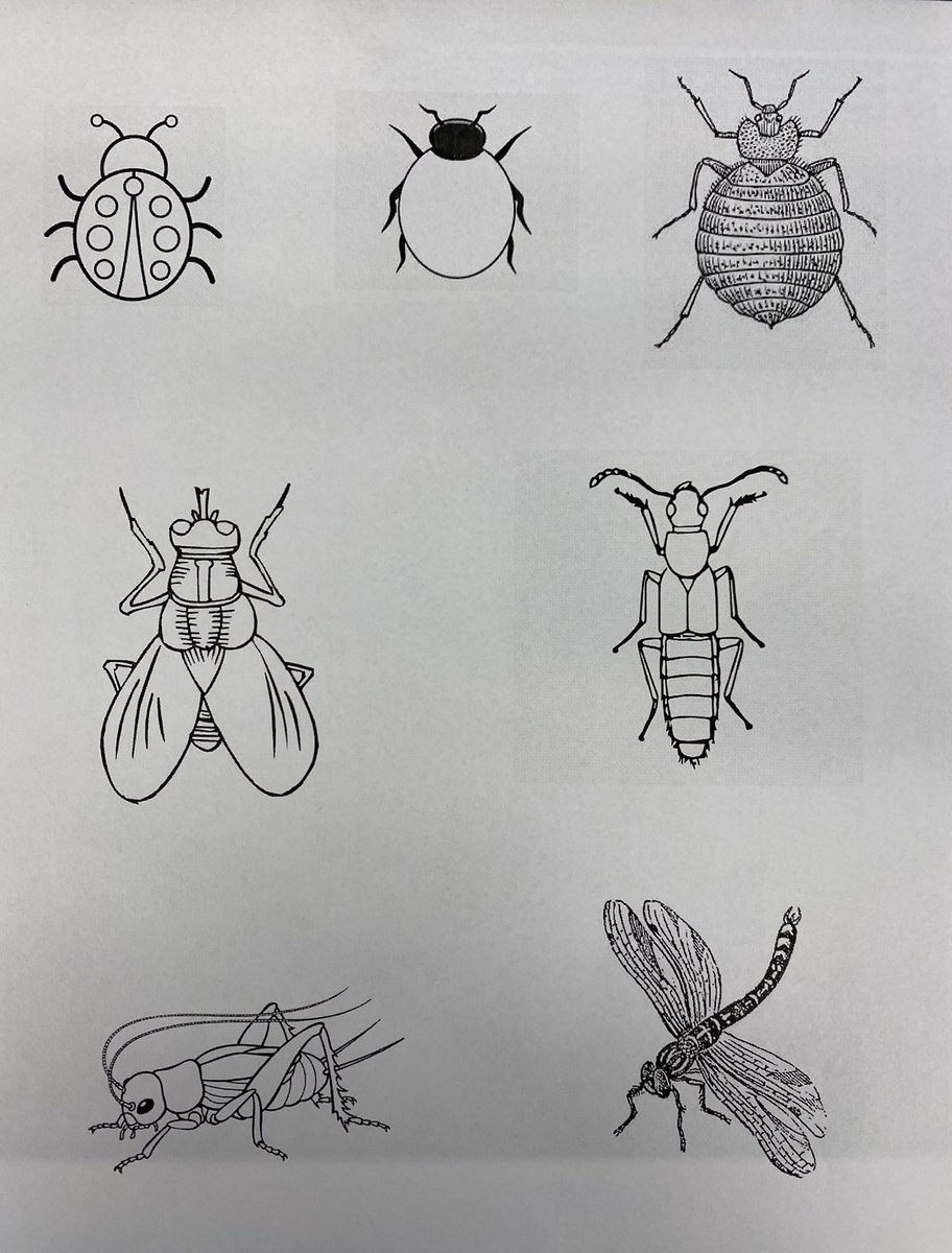 Kim Collazo tweet media