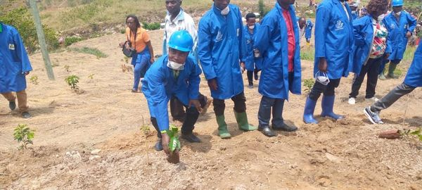 MagazineJimbere's tweet photo. 🔴🌱  Ce 26/10, a été lancée officiellement la campagne nationale de fumigation de la culture du café, sa fertilisation et plantation de nouvelles plantules par le Secrétaire permanent du @BMineagrie, sur la colline #Mugutu (@makambaProvince) https://t.co/lIifggJFnn https://t.co/rRBF4flhxk