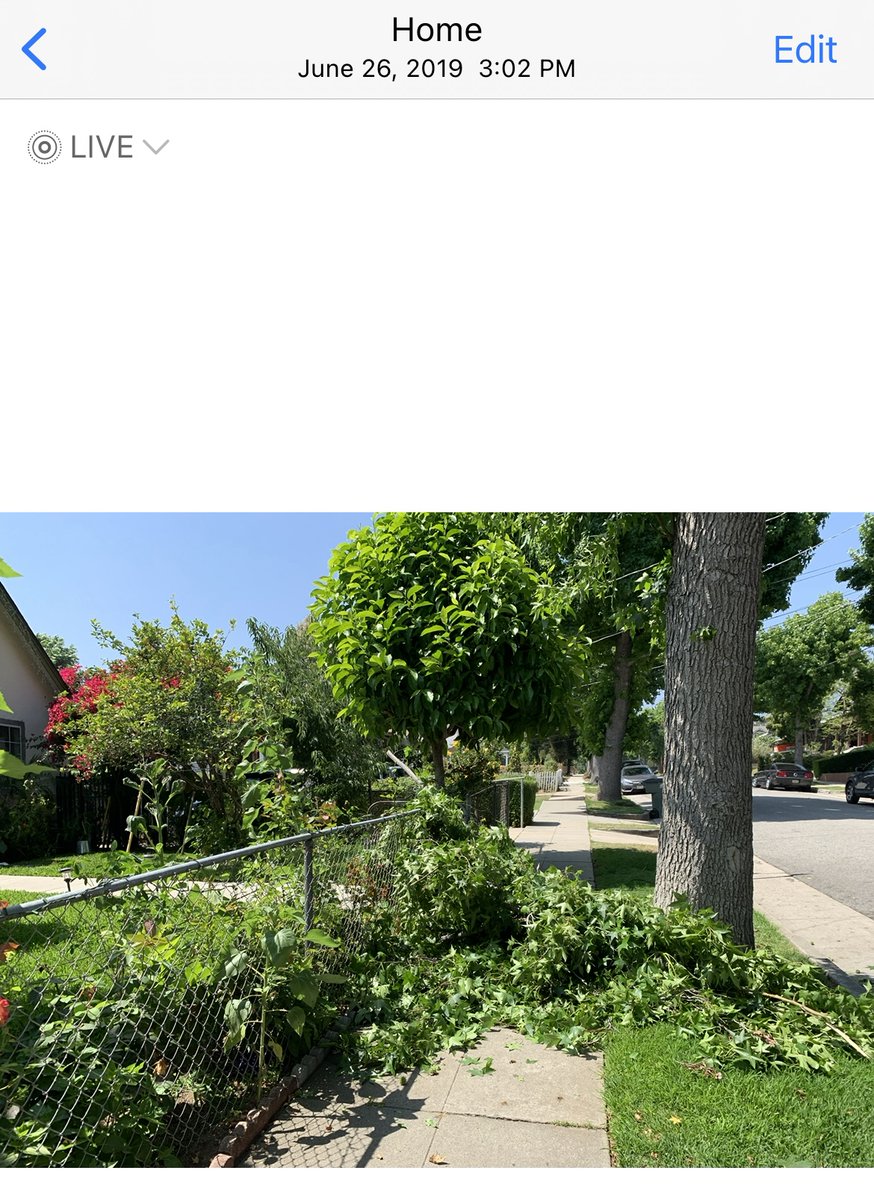 KevyPizza's tweet photo. @Pasadena_Mayor @PasadenaGov @PasadenaGov @Pasadena_Mayor https://t.co/9dYADVvgVR