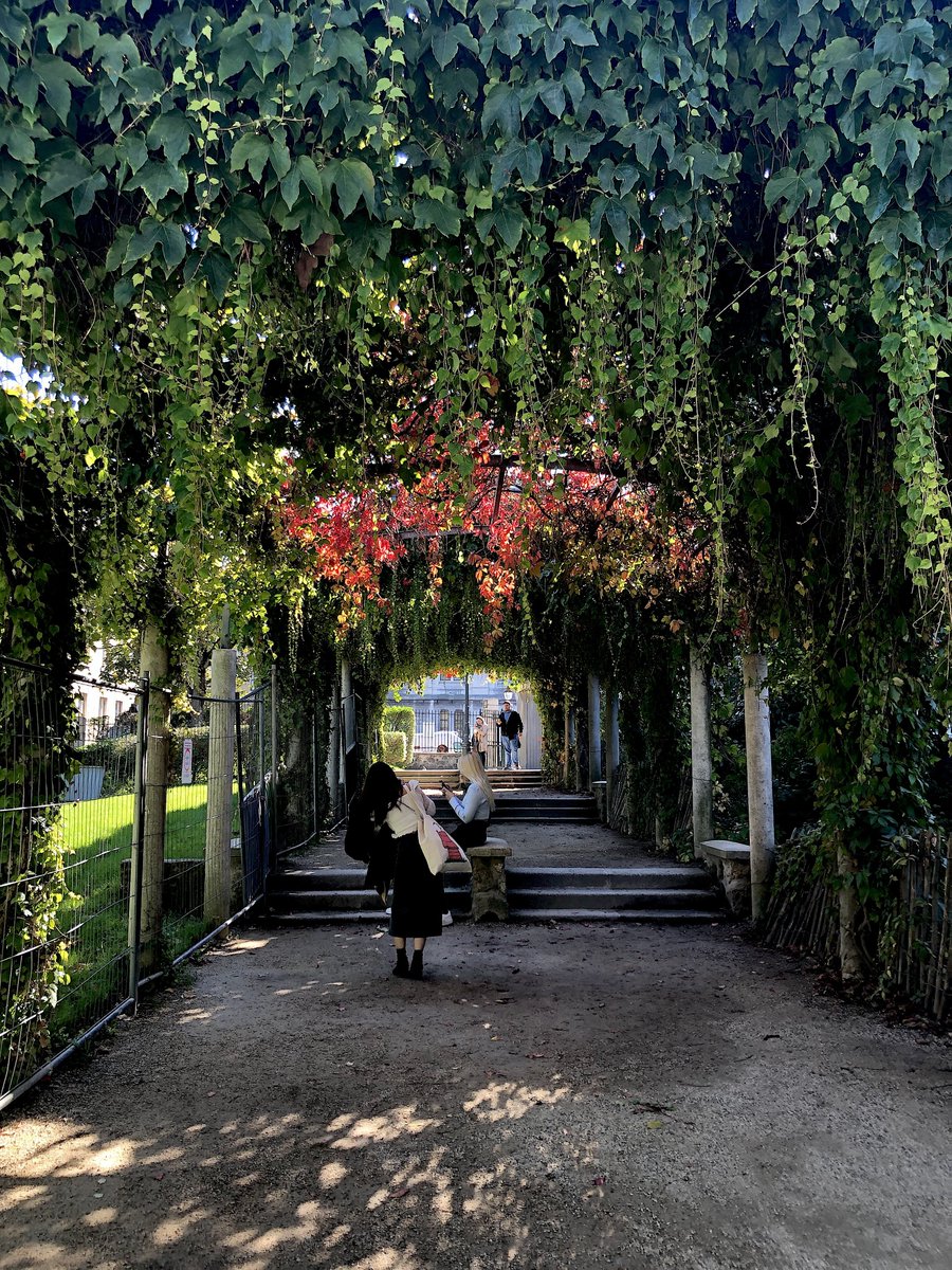 focusonparis's tweet photo. Leafy pause: bright red leaves on an arbor invite a stop, and photos. #autumninparis #montmartre #parisparks #basilicaofsacrecoeur #photography https://t.co/fVjudwvnHj https://t.co/ES71tZxzC0