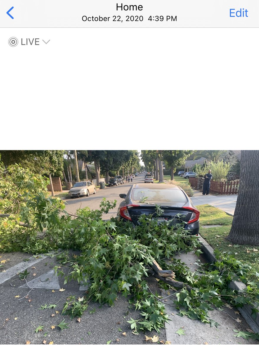 KevyPizza's tweet photo. @Pasadena_Mayor @PasadenaGov @PasadenaGov @Pasadena_Mayor https://t.co/iCIZbbMK96