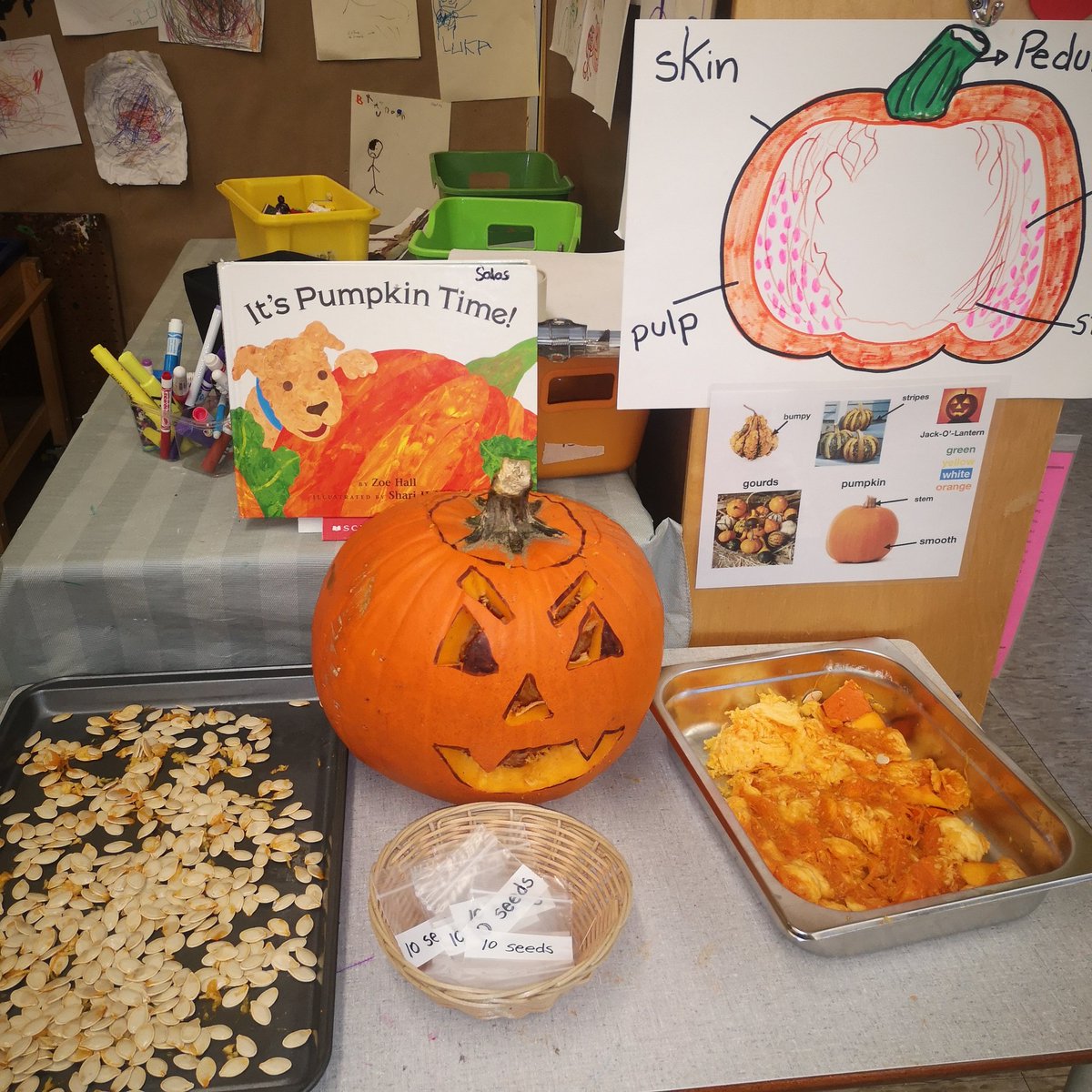 MsGiovannaSalas's tweet photo. Time to practice our counting. We are making groups of 10 to count all our Pumpkin seeds. 🎃#kindergarten. #learningcentres #MATHinkindergarten https://t.co/6XnMozwklH