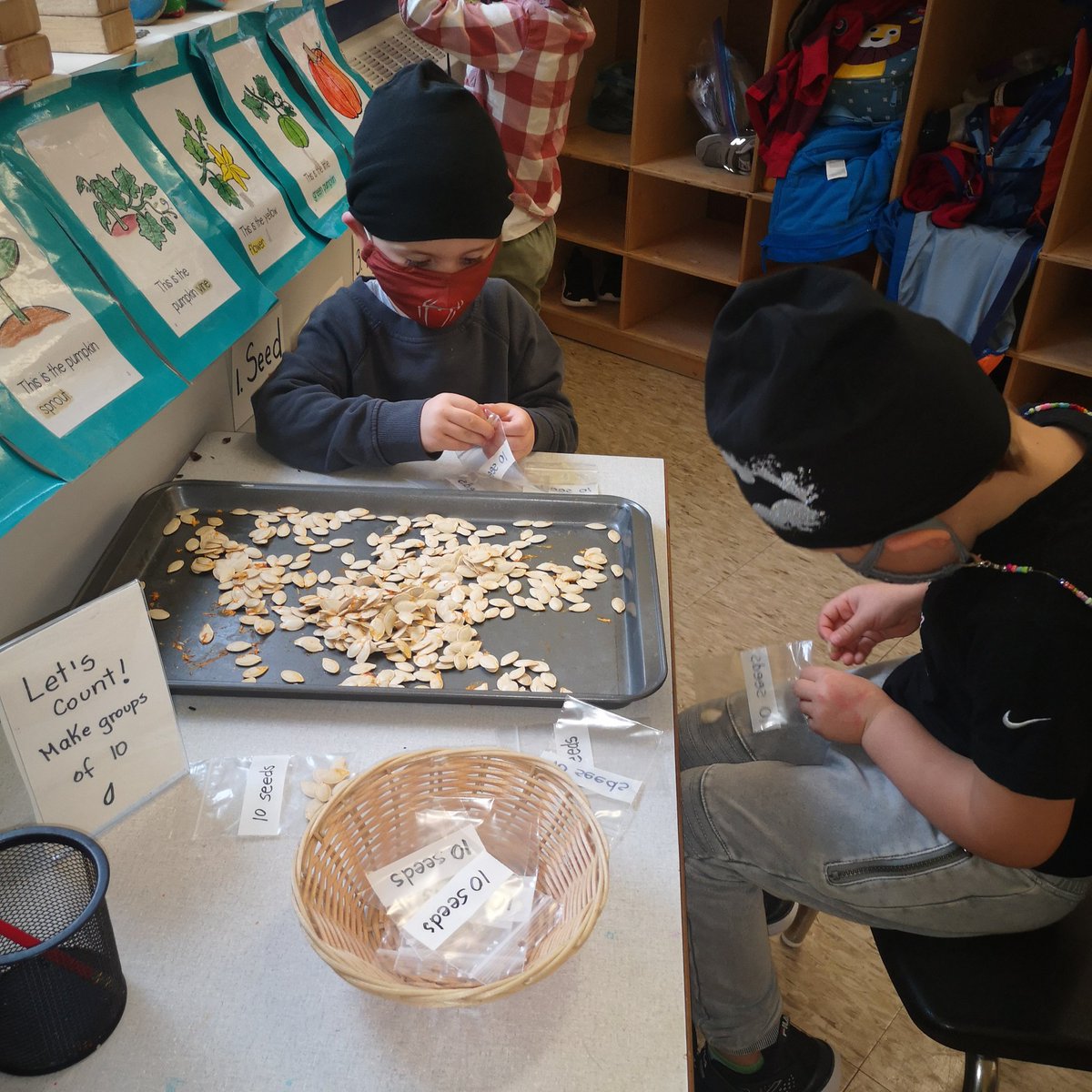 MsGiovannaSalas's tweet photo. Time to practice our counting. We are making groups of 10 to count all our Pumpkin seeds. 🎃#kindergarten. #learningcentres #MATHinkindergarten https://t.co/6XnMozwklH