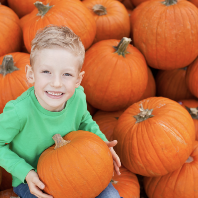 Bayfair Center tweet media