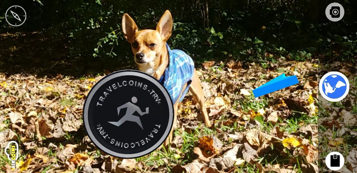 CryptoSchnitz's tweet image. Chasing Coins in the afternoon
@AIRCOINS_App 
#cryptolife