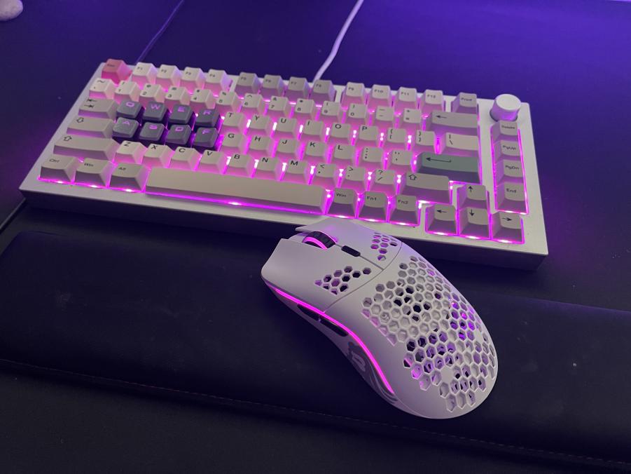 Com um setup glorioso desse eu não sairia de casa por nada 😂

O que acham? 🔥

📷 Ellie via Discord

Bem vindo ao próximo nível de competição no esport. Prepare-se para a ascensão! ⠀⠀⠀⠀⠀⠀⠀⠀⠀
- Glorious PC Gaming Race⠀⠀⠀⠀⠀⠀⠀⠀⠀
⠀⠀⠀⠀⠀⠀⠀⠀⠀