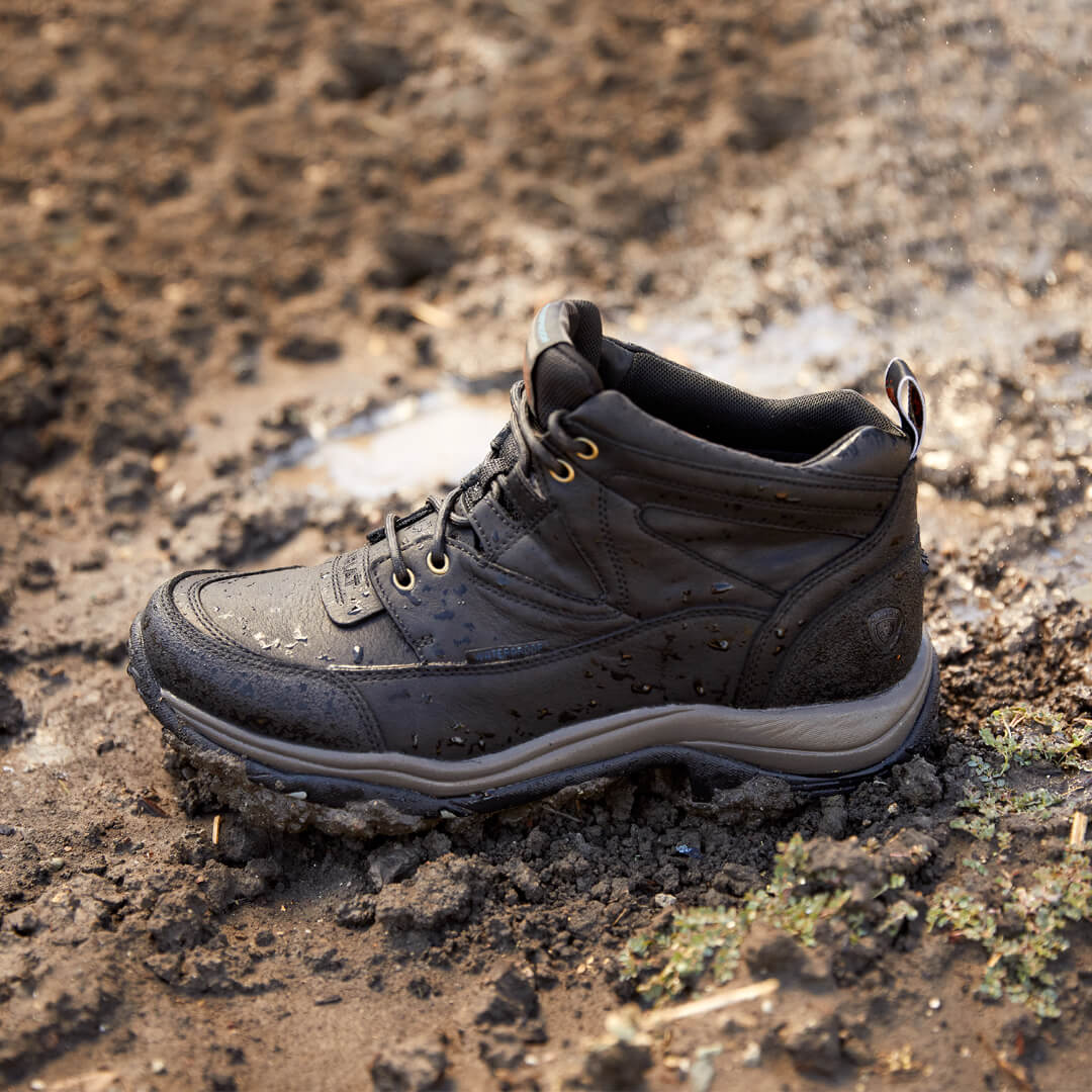Ariat's tweet photo. Hiking, riding, or mucking out the barnโฆ Terrain Waterproof Boots are ready for it all.
#AriatEq #MyAriat #Ariat #Equestrian #EquestrianLife #EquestrianStyle #Endurace #RidingBoot #HikingBoot #muckBoot #Advetnure #Outoors https://t.co/A8uTtLMY2G