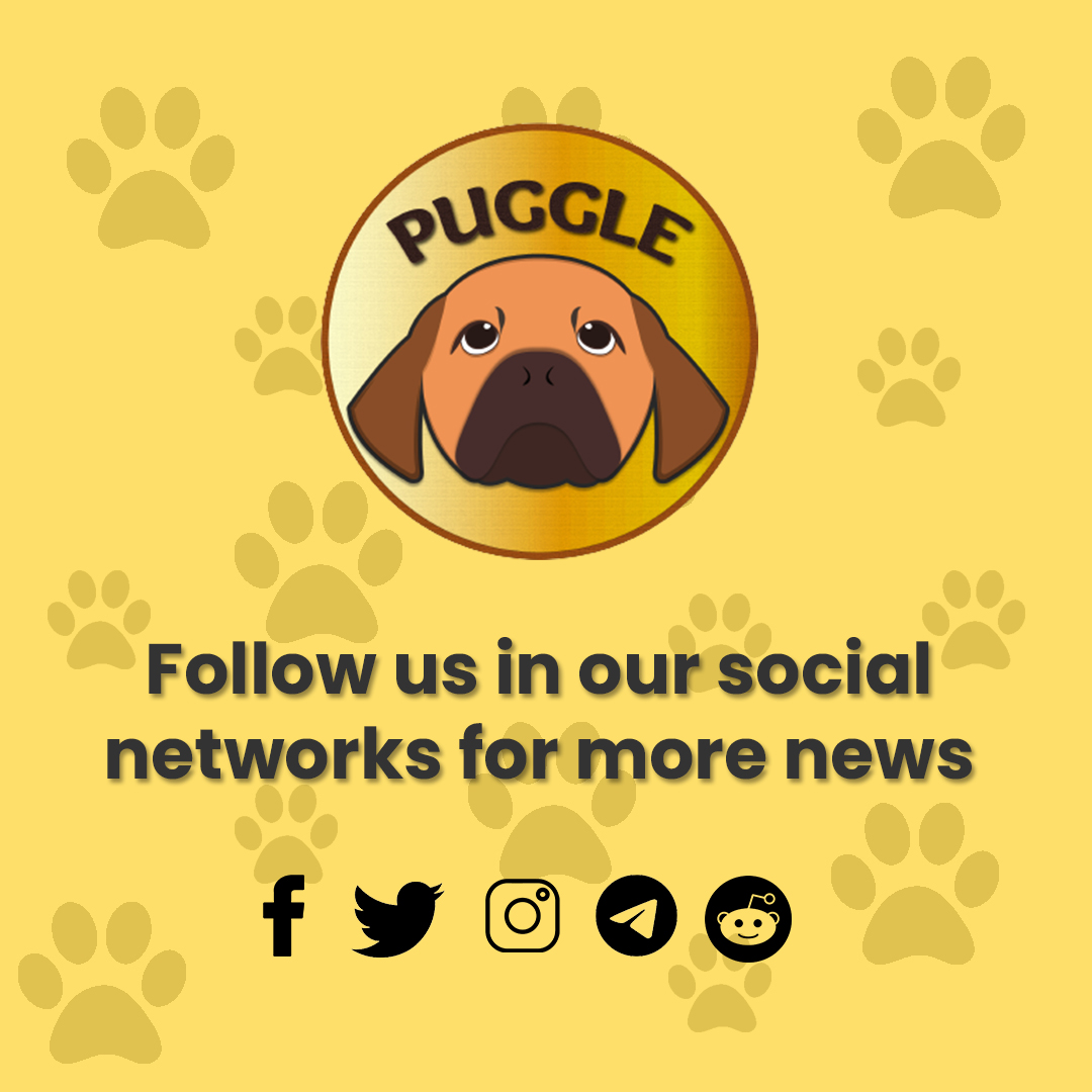 Puggleofficial's tweet photo. Join our Telegram group to get more news
https://t.co/2CEmikBTbV
#NFT #Puggle #Benefits #CryptoGames #NFTs #EarnMoney #NFTsBenefits #NFTsGamers #TelegramGroup #JoinU https://t.co/oYdhlqfn6Z