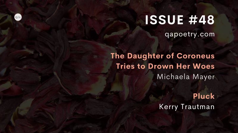 QaPoetry's tweet photo. Issue #48 just hit 🎆 https://t.co/i0MBqd7CXv