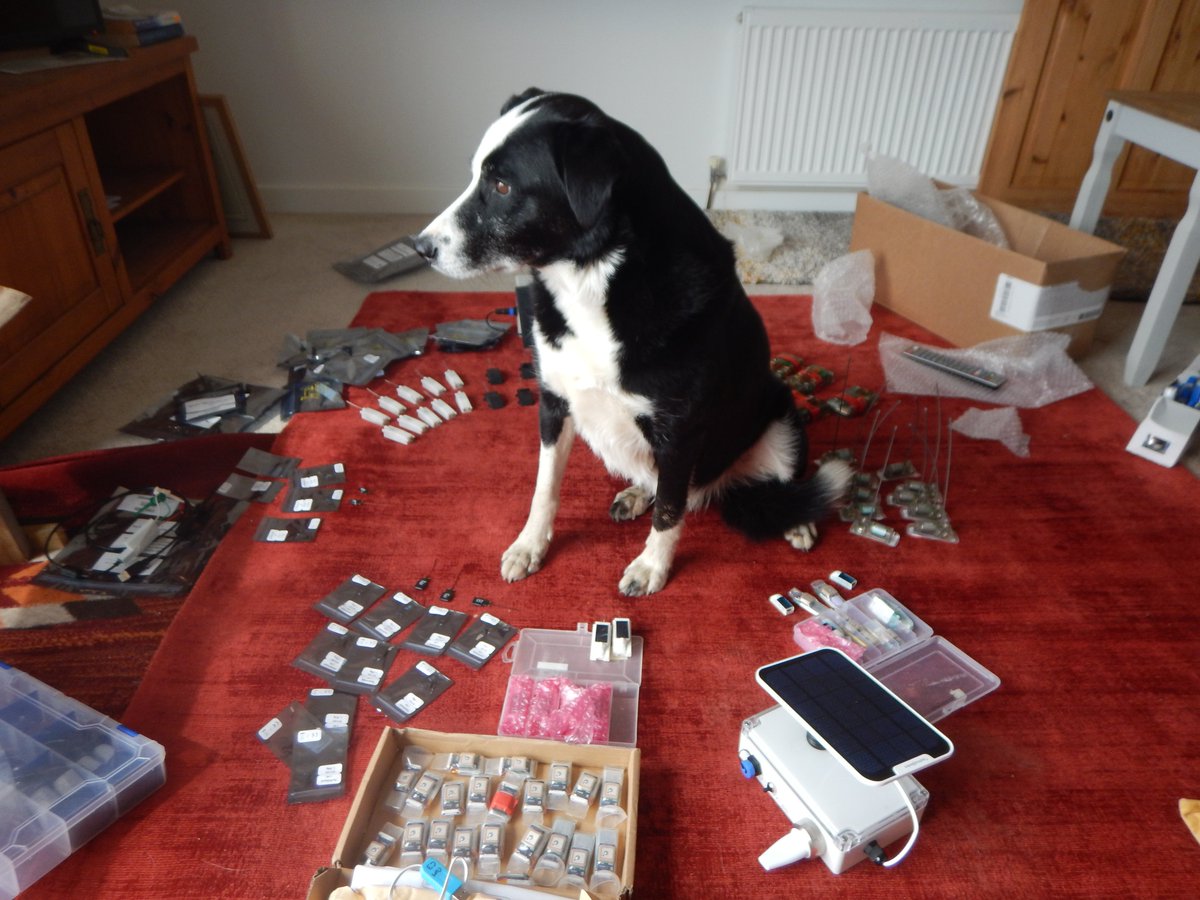 Alastair Baylis tweet media