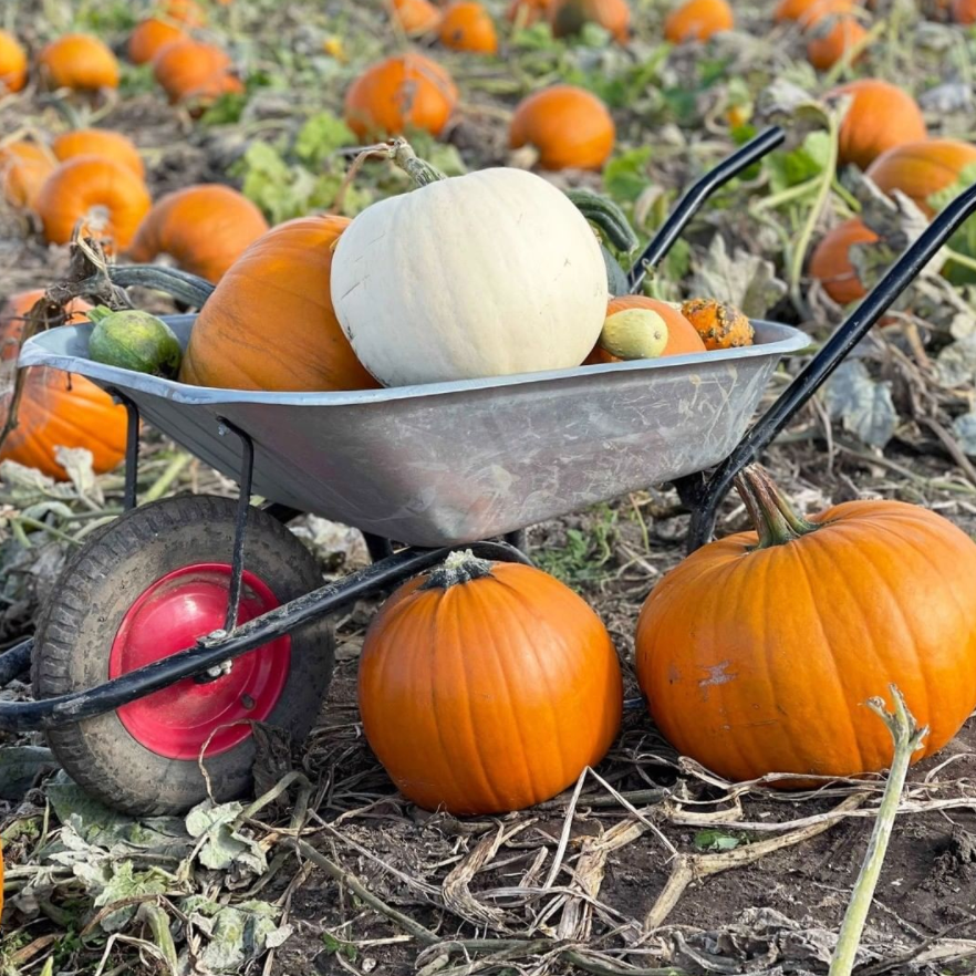 Proplayermag tweet media