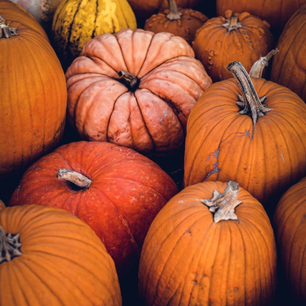 Proplayermag tweet media