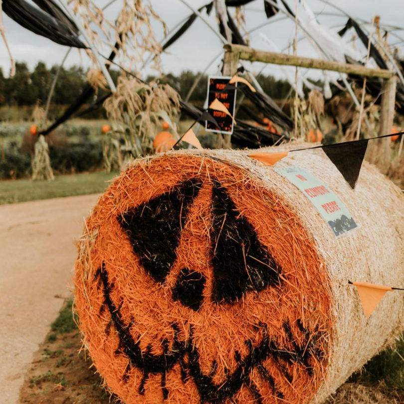 Proplayermag tweet media