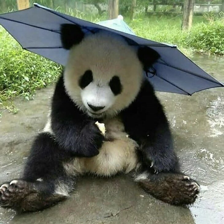 bazzy1970's tweet photo. It's raining love💕🌈💕🌧💕 https://t.co/MKhSAGcsOb