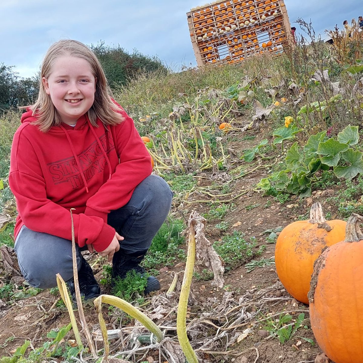 RachelSalmon81's tweet photo. Enjoying my day off! Lovely geocaching walk at a nature reserve with the boy and the pooch this morning, followed by a fun time at a pumpkin patch with friends this afternoon! #simplePleasures #familytime #widowslife https://t.co/0QhaNo933L