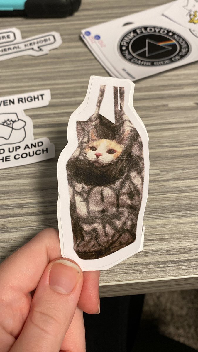 emileee_20's tweet photo. I love @fatfatpankocat so much I got a sticker of her for my laptop 
panko I love u congrats on cat of thee year https://t.co/O9PwPrDdGr