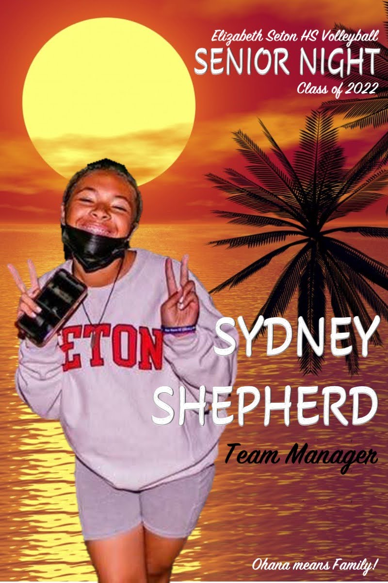 Elizabeth Seton HS Volleyball tweet media