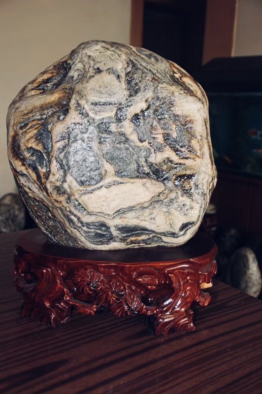 Cubier Wang (@cubierwang) on Twitter photo 