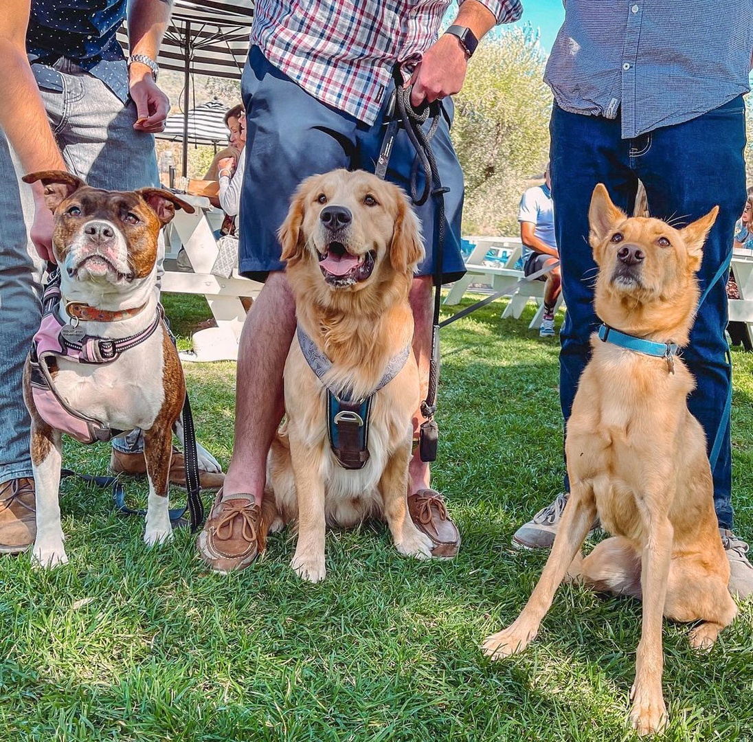 B.R. Cohn Winery tweet media