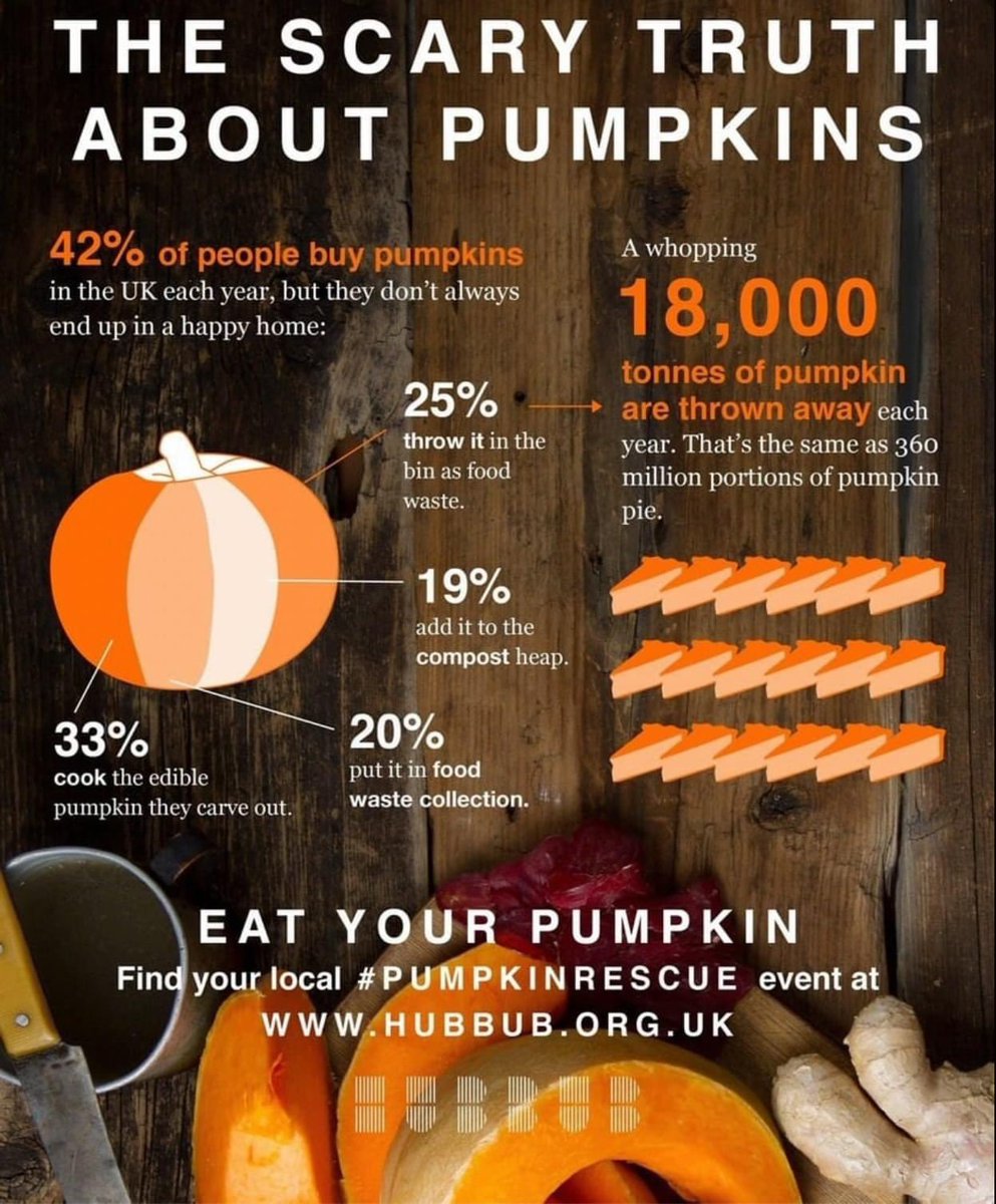 Eat your damn pumpkin 🎃