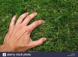 Blurry ⚝ tweet media