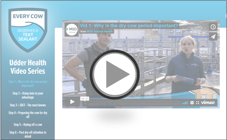 msd_ah's tweet photo. In the first video of our udder health video series, @tommythevet and Helena Madden delve into the rationale behind drying-off cows, what happens during this period, the role of SDCT and more π
#Cepralock #SDCT
See full video: https://t.co/Q6XHjprUR8 https://t.co/9RQuVNaJSm