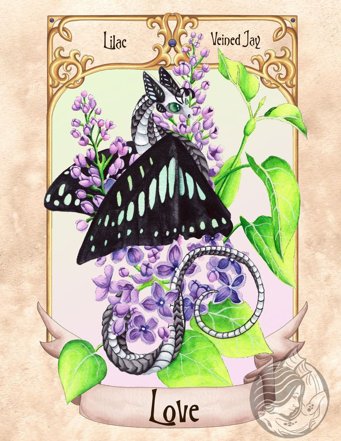 dragonladyart's tweet photo. Love
Flower: Lilac (Syringa)
Butterfly: Veined Jay (Graphium bathycles)
Adore who you are and what you do. Pamper yourself, take yourself out on a date, or schedule some time just for you to do something you enjoy. 
#enchantedblossoms #dragonoracle #oracle #lightwork https://t.co/0i8U0jF9s8