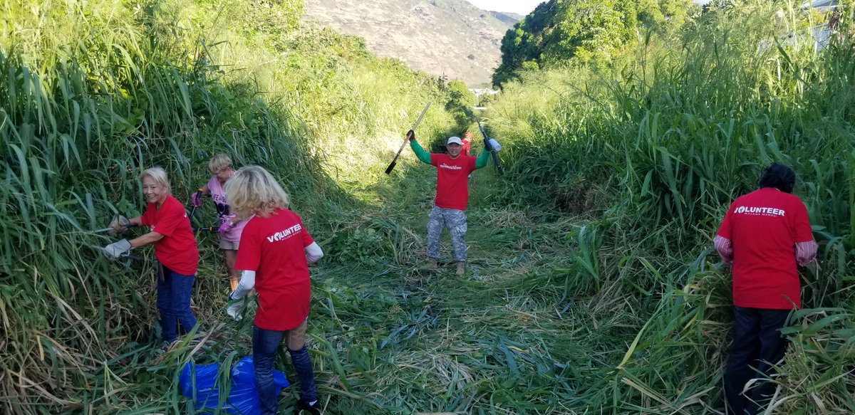 Mahalo to all who participated in the Wailupe stream cleanup! 

The volunteer team removed 110 bags of cuttings!
